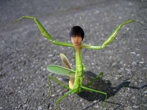 カマキリジョー.jpg