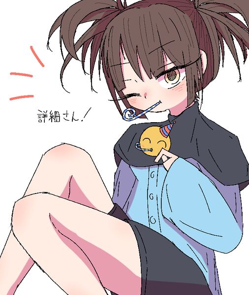 ファイル:sho-詳細2.jpg